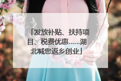 发放补贴、扶持项目、税费优惠……湖北喊您返乡创业