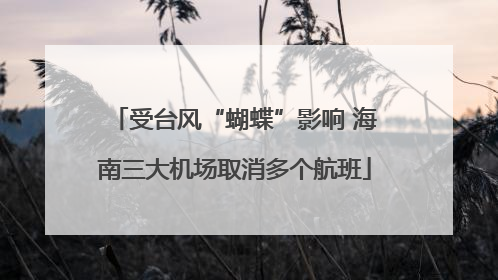 受台风“蝴蝶”影响 海南三大机场取消多个航班