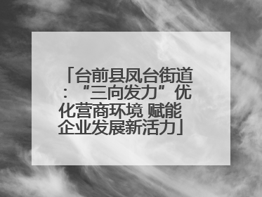 台前县凤台街道：“三向发力”优化营商环境 赋能企业发展新活力