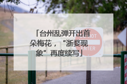 台州乱弹开出首朵梅花，“浙婺现象”再度续写