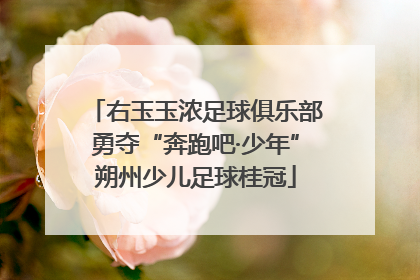 右玉玉浓足球俱乐部勇夺“奔跑吧·少年”朔州少儿足球桂冠