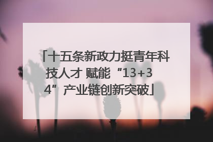 十五条新政力挺青年科技人才 赋能“13+34”产业链创新突破