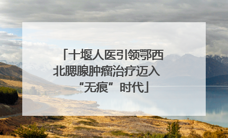 十堰人医引领鄂西北腮腺肿瘤治疗迈入“无痕”时代