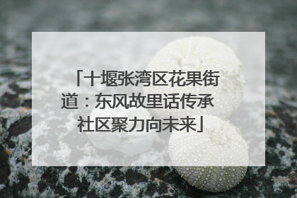 十堰张湾区花果街道：东风故里话传承 社区聚力向未来