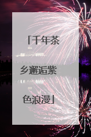 千年茶乡邂逅紫色浪漫