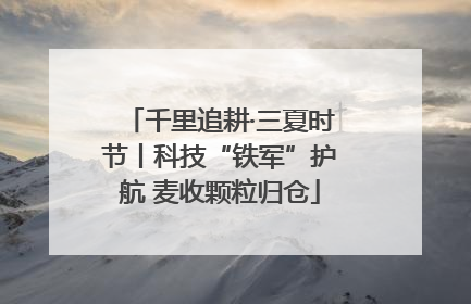 千里追耕·三夏时节丨科技“铁军”护航 麦收颗粒归仓