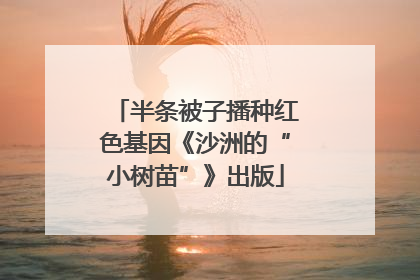 半条被子播种红色基因《沙洲的“小树苗”》出版