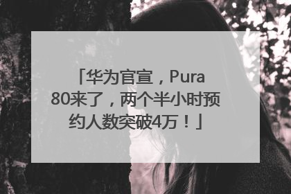 华为官宣，Pura 80来了，两个半小时预约人数突破4万！