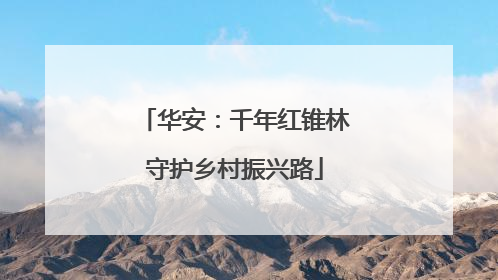 华安：千年红锥林守护乡村振兴路