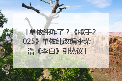 单依纯咋了？《歌手2025》单依纯改编李荣浩《李白》引热议