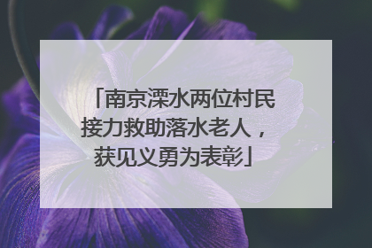 南京溧水两位村民接力救助落水老人，获见义勇为表彰