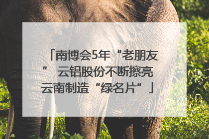 南博会5年“老朋友” 云铝股份不断擦亮云南制造“绿名片”