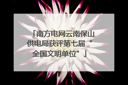 南方电网云南保山供电局获评第七届“全国文明单位”