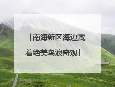 南海新区海边藏着绝美鸟浪奇观