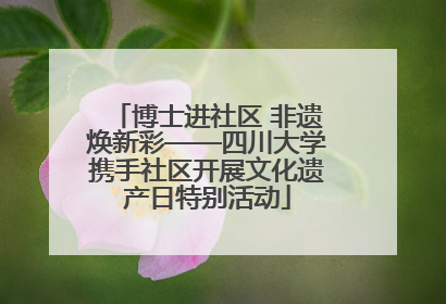 博士进社区 非遗焕新彩——四川大学携手社区开展文化遗产日特别活动