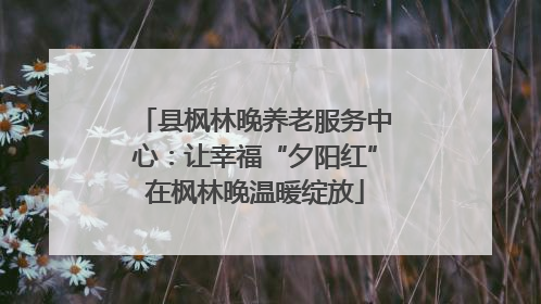 县枫林晚养老服务中心：让幸福“夕阳红”在枫林晚温暖绽放