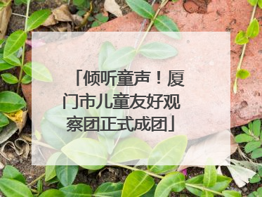 倾听童声！厦门市儿童友好观察团正式成团