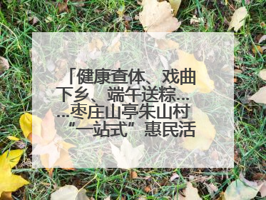 健康查体、戏曲下乡、端午送粽……枣庄山亭朱山村“一站式”惠民活动暖民心