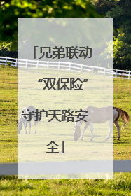 兄弟联动“双保险”守护天路安全