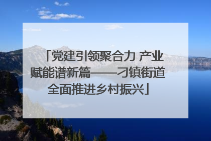 党建引领聚合力 产业赋能谱新篇——刁镇街道全面推进乡村振兴