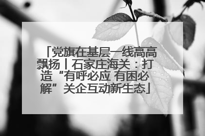 党旗在基层一线高高飘扬丨石家庄海关：打造“有呼必应 有困必解”关企互动新生态