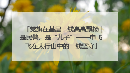 党旗在基层一线高高飘扬｜是民警、是“儿子”——申飞飞在太行山中的一线坚守