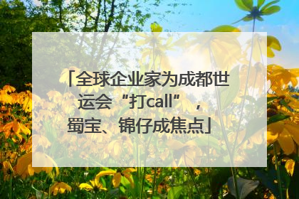 全球企业家为成都世运会“打call”，蜀宝、锦仔成焦点