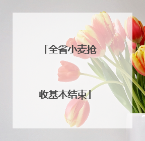 全省小麦抢收基本结束