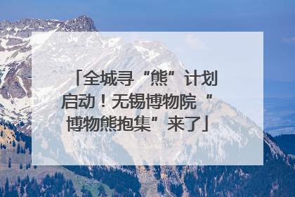 全城寻“熊”计划启动！无锡博物院“博物熊抱集”来了
