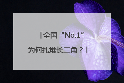 全国“No.1”为何扎堆长三角？