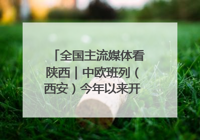 全国主流媒体看陕西｜中欧班列（西安）今年以来开行超2500列