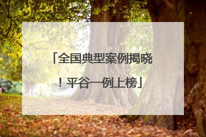 全国典型案例揭晓！平谷一例上榜