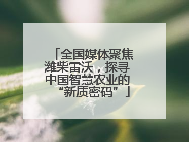 全国媒体聚焦潍柴雷沃，探寻中国智慧农业的“新质密码”
