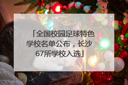 全国校园足球特色学校名单公布，长沙67所学校入选