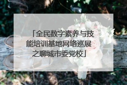 全民数字素养与技能培训基地网络巡展之聊城市委党校