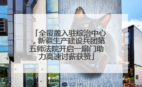 全覆盖入驻综治中心，新疆生产建设兵团第五师法院开启一扇门助力高速讨薪获赞