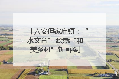 六安但家庙镇：“水文章” 绘就“和美乡村”新画卷