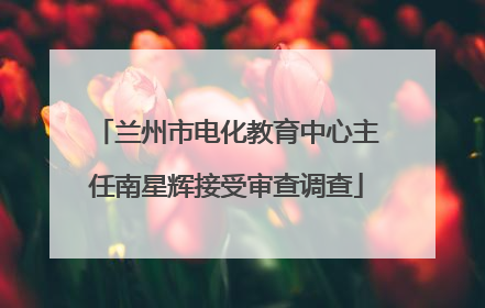 兰州市电化教育中心主任南星辉接受审查调查