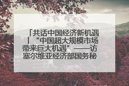 共话中国经济新机遇丨“中国超大规模市场带来巨大机遇”——访塞尔维亚经济部国务秘书尼科利奇