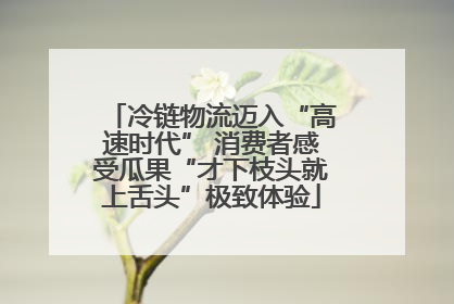 冷链物流迈入“高速时代” 消费者感受瓜果“才下枝头就上舌头”极致体验