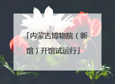 内蒙古博物院（新馆）开馆试运行
