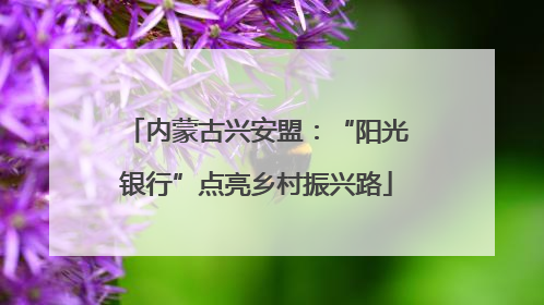 内蒙古兴安盟：“阳光银行”点亮乡村振兴路