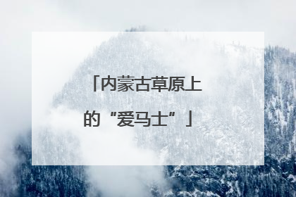 内蒙古草原上的“爱马士”