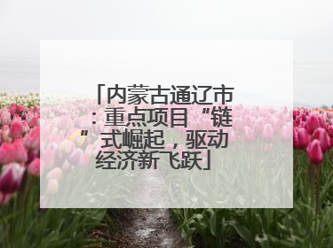 内蒙古通辽市：重点项目“链”式崛起，驱动经济新飞跃