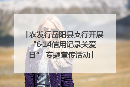 农发行岳阳县支行开展“6·14信用记录关爱日” 专题宣传活动
