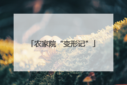 农家院“变形记”