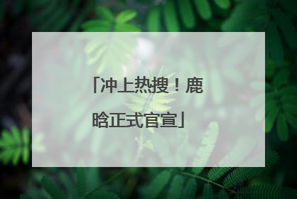 冲上热搜！鹿晗正式官宣