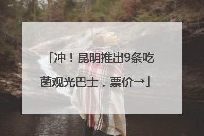 冲！昆明推出9条吃菌观光巴士，票价→