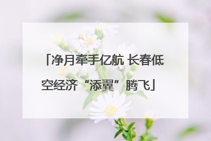 净月牵手亿航 长春低空经济“添翼”腾飞