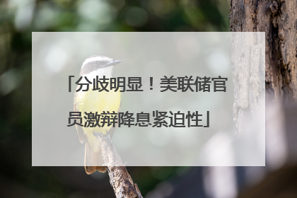 分歧明显！美联储官员激辩降息紧迫性